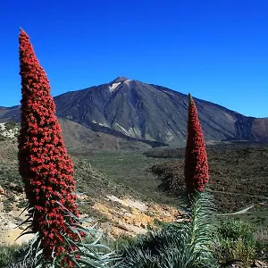 Casa Ivonne - Apartamento San Isidro (Tenerife)